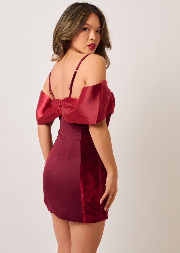 Velvet Mini Dress - Burgundy